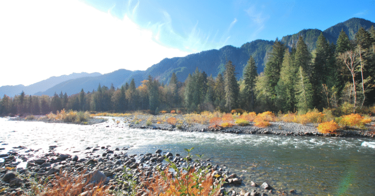 Best TRT Clinics in Idaho: Your Comprehensive Guide