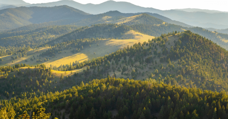 Best TRT Clinics in Montana: Your Comprehensive Guide